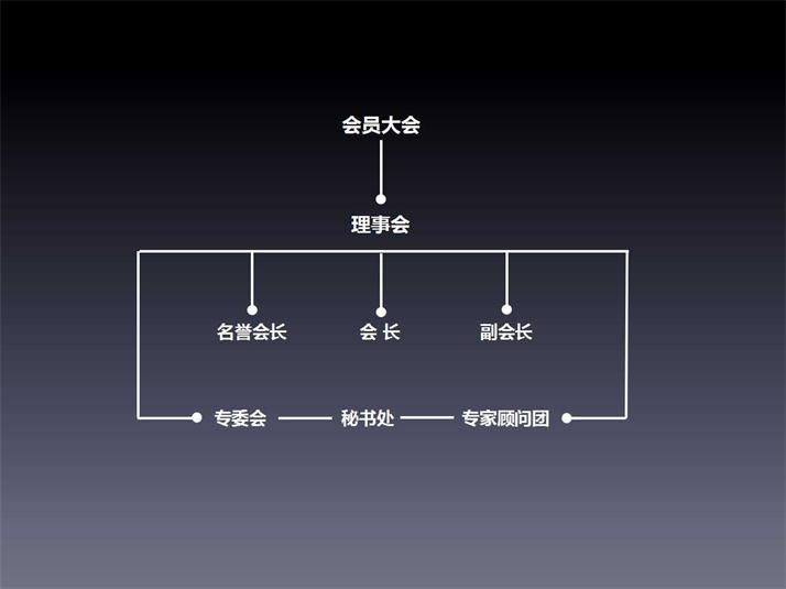组织架构中文 网站.jpg